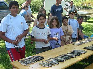 Partie de pêche à la truite au Camping en Cerdagne